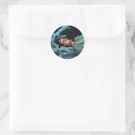 Sticker Rond Poisson clown en corail (Sac)