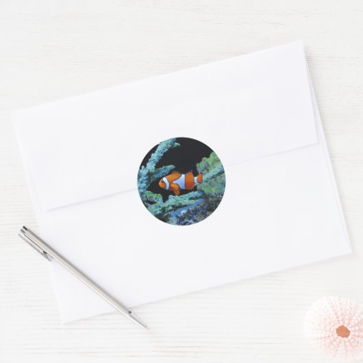 Sticker Rond Poisson clown en corail (Enveloppe)