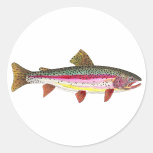 Sticker Rond Poisson de truite arc-en-ciel