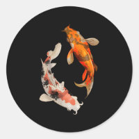 Poisson japonais Koi Nishikigoi Yin Yang Carp