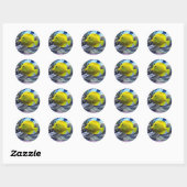 Sticker Rond Poisson jaune (Feuille)