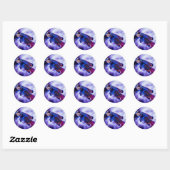Sticker Rond Poisson Mandarin Goby (Feuille)