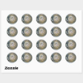 Sticker Rond Poisson-méduse échouée série Iems de coordination (Feuille)