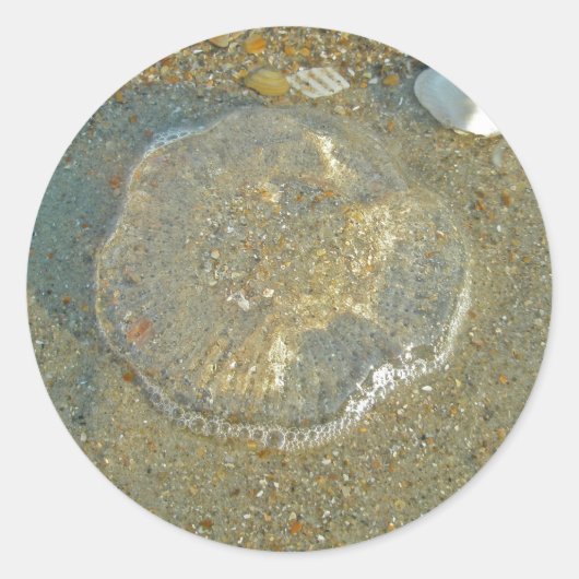 Sticker Rond Poisson-méduse échouée série Iems de coordination (Devant)