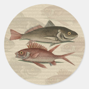Sticker Rond Poisson Perche rouge Art pêcheur