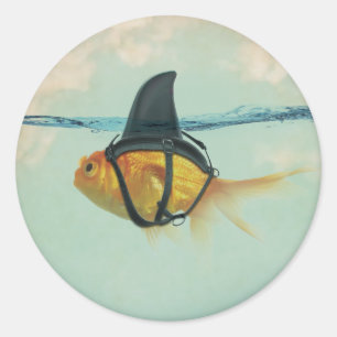 Sticker Rond Poisson rouge avec une nageoire de requin