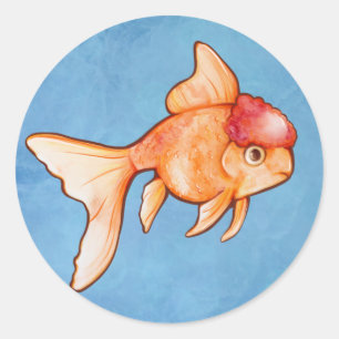 Sticker Rond Poisson rouge oranda