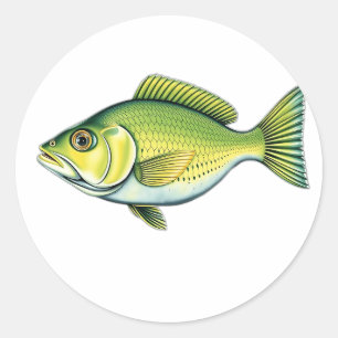 Sticker Rond Poisson vert vif avec Motifs ondulés