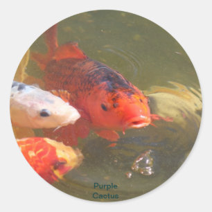 Sticker Rond Poissons v.1 de Koi