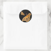 Sticker Rond Polyphemus Moth (Sac)