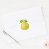Sticker Rond Pomelo sur une branche (Enveloppe)