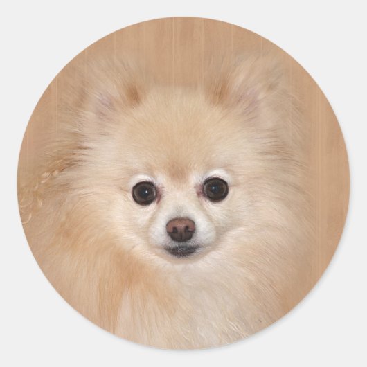 Sticker Rond Pomeranian font face (Devant)