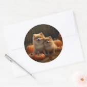 Sticker Rond Poméranien Chiot Automne Citrouille délice (Enveloppe)