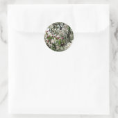 Sticker Rond Pommier en fleurs (Sac)