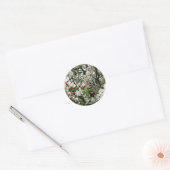 Sticker Rond Pommier en fleurs (Enveloppe)