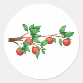 Sticker Rond Pommier rouge Branche Fruit frais et Feuilles vert (Devant)