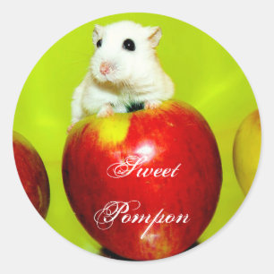 Sticker Rond Pompon doux