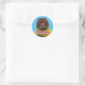 Sticker Rond Ponchan sticker. ぽんちゃんシール (Sac)