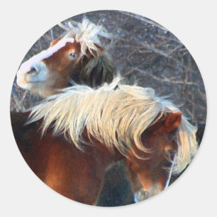 Sticker Rond poney