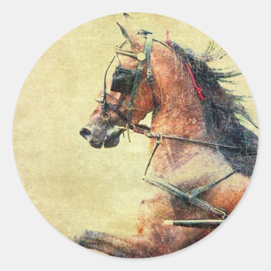 Sticker Rond Poney de Hackney (Devant)