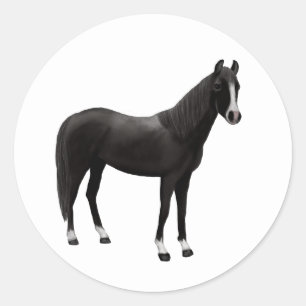 Sticker Rond Poney Équestre Western Cheval Noir