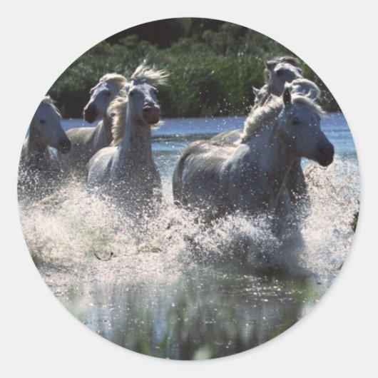 Sticker Rond Ponies de Chintoteague traversant la Manche (Devant)