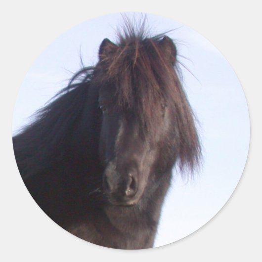 Sticker Rond Pony (Devant)