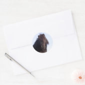 Sticker Rond Pony (Enveloppe)