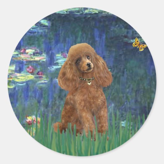 Sticker Rond Poodle (Apricot 10) - Lilies 5 (Devant)