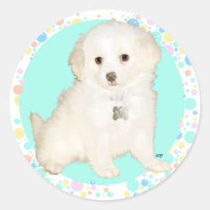 Sticker Rond Poodle / Bichon Mix Puppy fête la vie