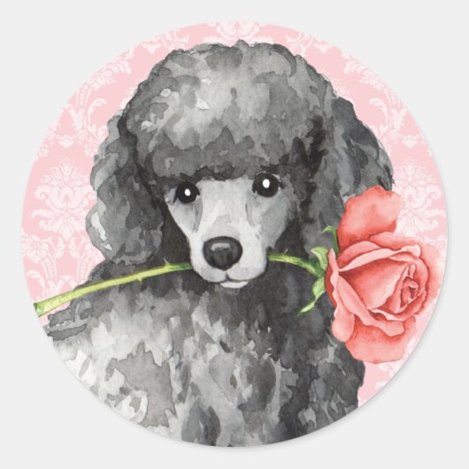 Sticker Rond Poodle miniature Rose Valentine (Devant)