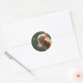 STICKER ROND POODLE POUR LES VACANCES (Enveloppe)