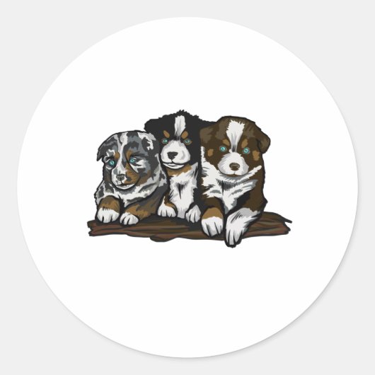 STICKER ROND POPIES DE SHEPHERD AUSTRALIEN (Devant)