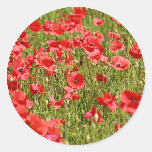 Sticker Rond Poppy field (Devant)