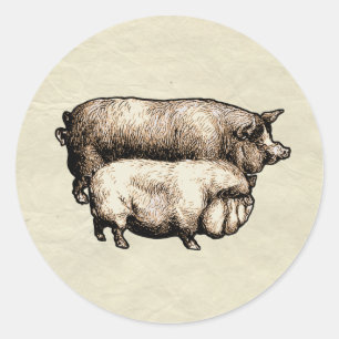 Sticker Rond Porc de Ferme Vintage Antiquités de Bétail de Camp