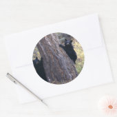 Sticker Rond porter (Enveloppe)
