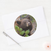 Sticker Rond porter (Enveloppe)