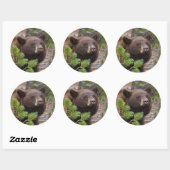 Sticker Rond porter (Feuille)