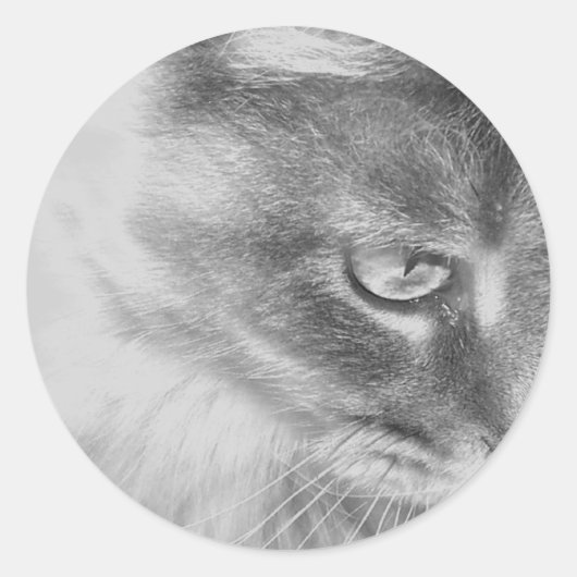Sticker Rond Portrait "Angel Kitty" (Devant)