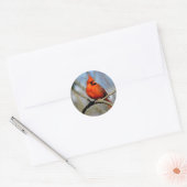 Sticker Rond Portrait cardinal rouge (Enveloppe)