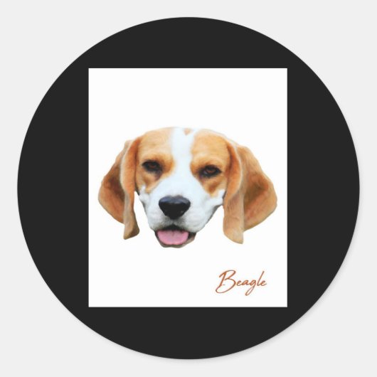 Sticker Rond Portrait couleur chien beagle (Devant)
