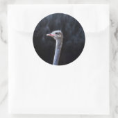Sticker Rond portrait d'autruche (Sac)