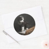 Sticker Rond Portrait de Bobtail puppy (Enveloppe)