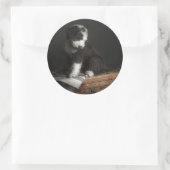 Sticker Rond Portrait de Bobtail puppy (Sac)
