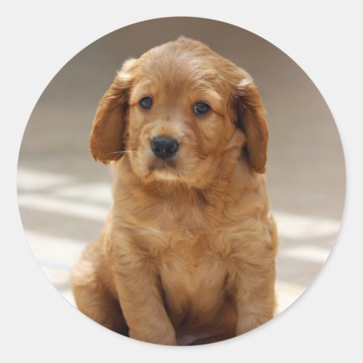 Sticker Rond Portrait de marionnette (Devant)