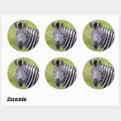 Sticker Rond Portrait de Plains Zebra, Hluhluwe-Umfolozi Game (Feuille)