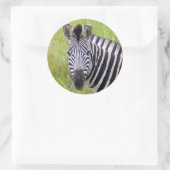 Sticker Rond Portrait de Plains Zebra, Hluhluwe-Umfolozi Game (Sac)