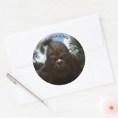 STICKER ROND PORTRAIT DE SASQUATCH BIGFOOT (Enveloppe)