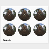 STICKER ROND PORTRAIT DE SASQUATCH BIGFOOT (Feuille)