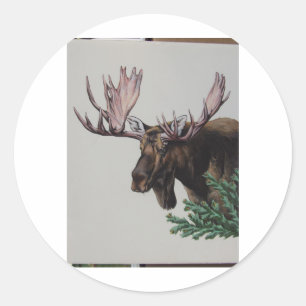 Sticker Rond Portrait de tête d'orignal